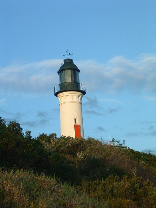 16 Penguin Island.jpg